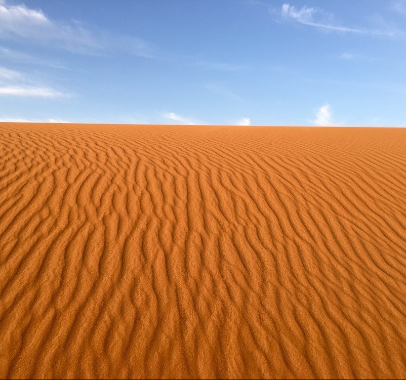 Maroc : de l'or dans le désert