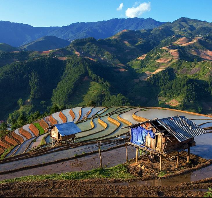 Le Vietnam : une nature polymorphe