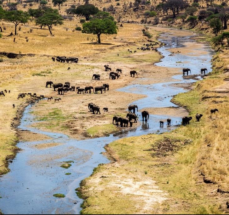 Comment réussir son voyage en Tanzanie ?