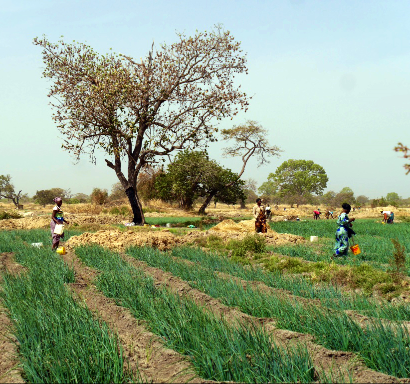 Deux régions à découvrir au Sénégal