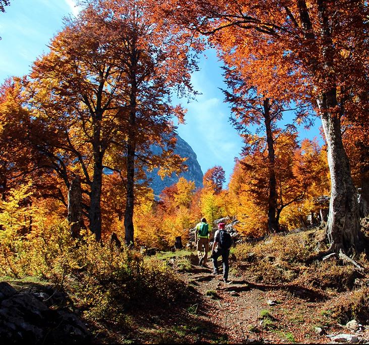 Partir en Albanie