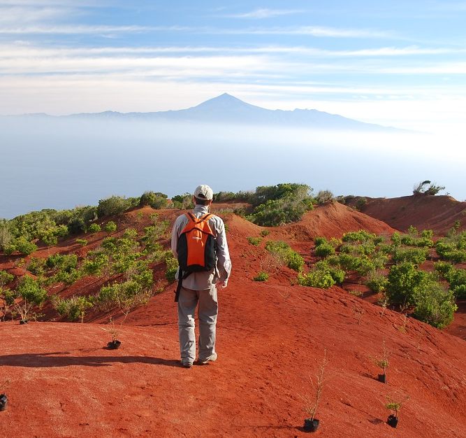 Les Canaries avec des yeux d’enfants