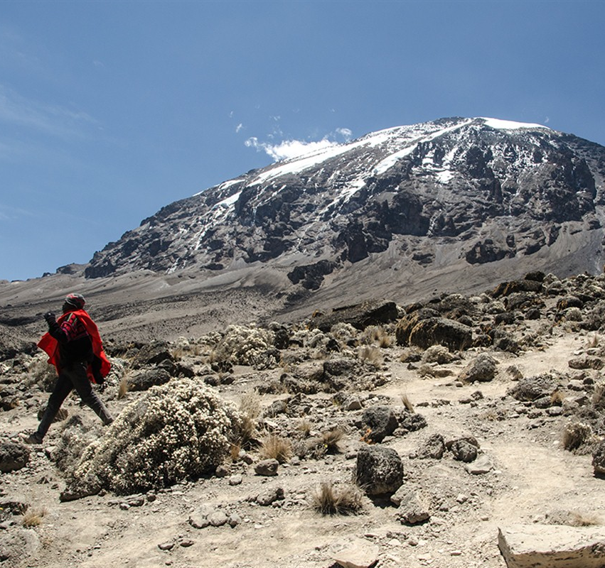 Kilimandjaro : le grand face-à-face