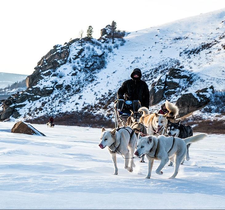 Les bonnes raisons de découvrir la randonnée en traîneau à chiens