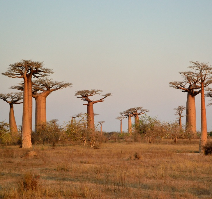 Rencontre avec Philippe, guide à Madagascar