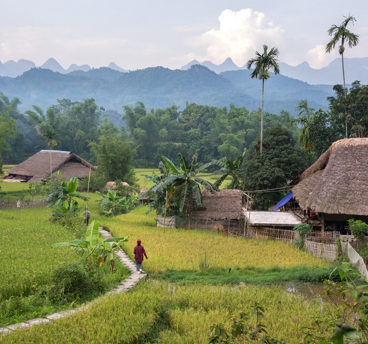 Aux confins du Vietnam : des montagnes et des hommes