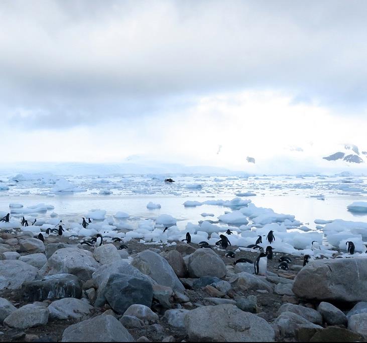 Plancius : la fabuleuse aventure de l’Antarctique