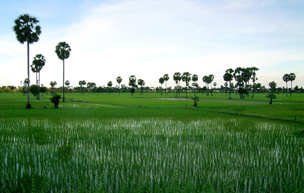 Angkor - Cambodge © Marc Franiatte