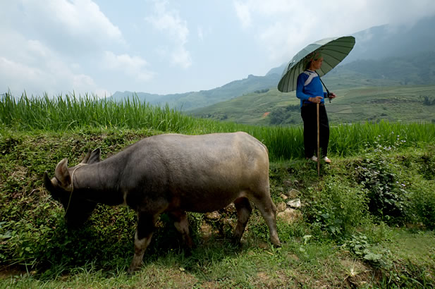 © Fançois Vanniere - Vietnam